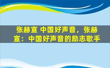张赫宣 中国好声音，张赫宣：中国好声音的励志歌手